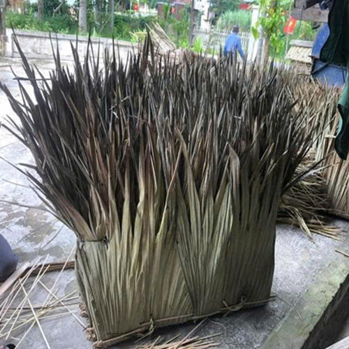 LÁ CỌ KẸP